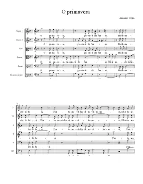 O primavera