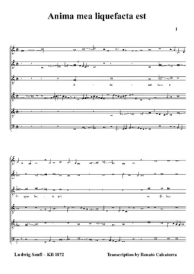 Anima mea liquefacta est