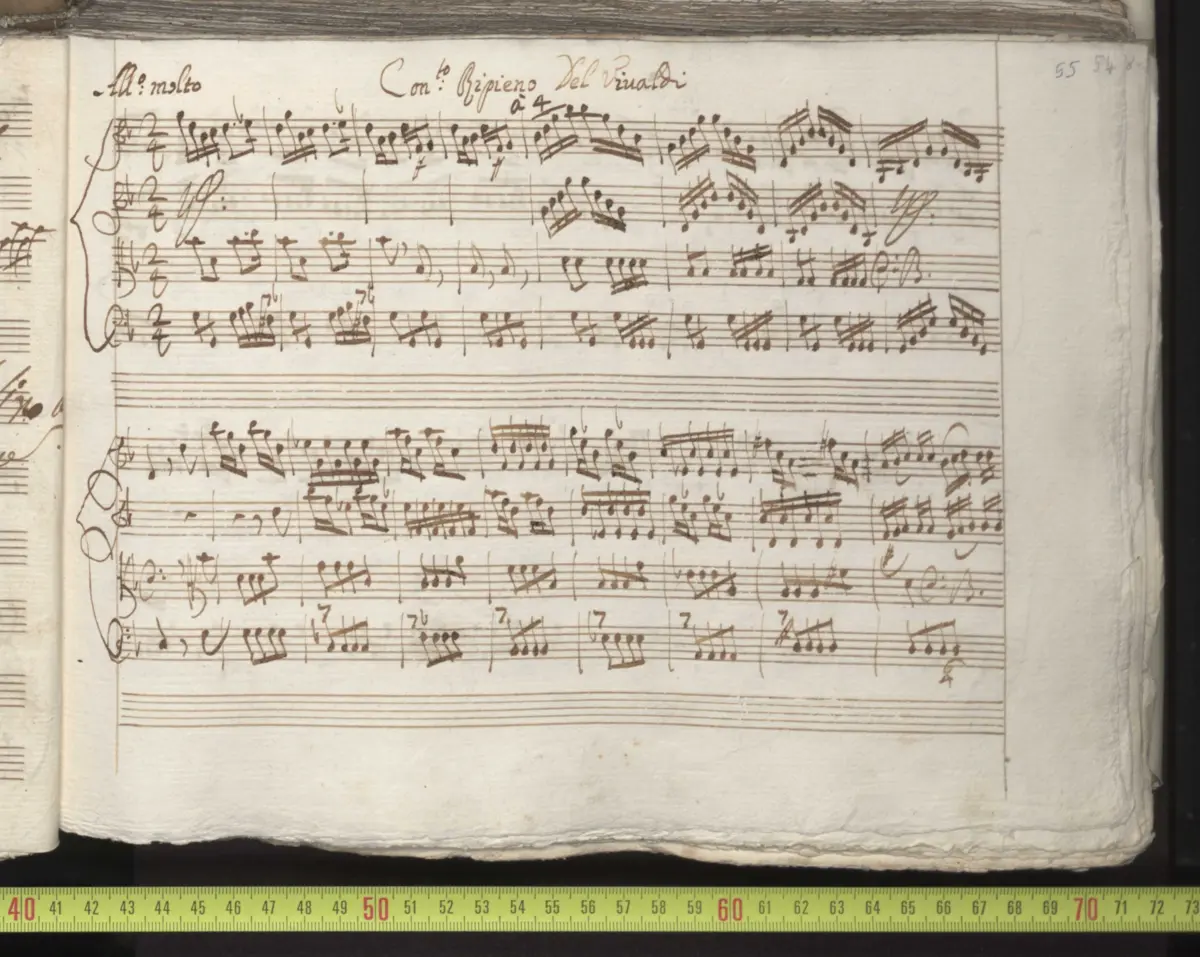 Concerto for Strings in G minor - Page 1