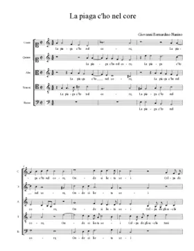 La piaga c'ho nel core