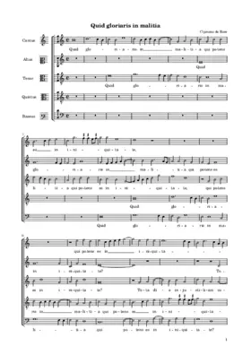 Quid gloriaris in malitia