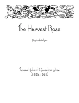 The Harvest Rose