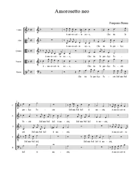 Amorosetto neo