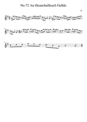 No.72 An tSeanchailleach Gallda