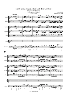 Herr, deine Augen sehen nach dem Glauben