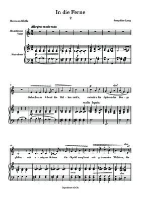 In die Ferne
