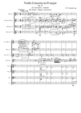 Violin Concerto Op.35