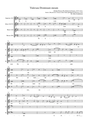 Tulerunt Dominum meum