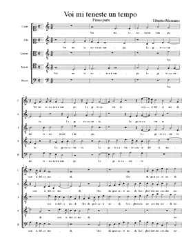 Voi mi teneste un tempo