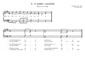 A - 8. neděle v mezidobí