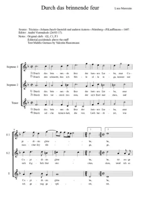 Durch das brinnende feur