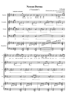 Nessun dorma (from 'Turandot')
