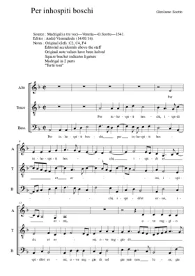 Per inhospiti boschi