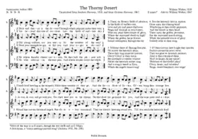 Thorny Desert