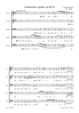 Cantantibus organis, op. 66/34
