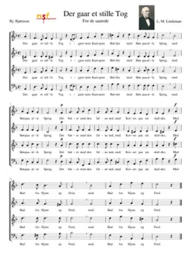 Der gaar et stille Tog