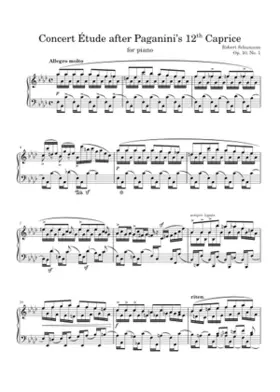 6 Concert Etudes after Paganini Caprices Op.10