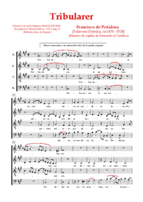 Tribularer si nescirem