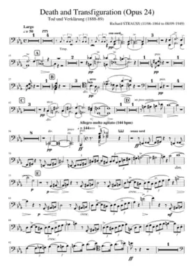 Death and Transfiguration