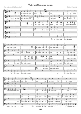 Tulerunt Dominum meum