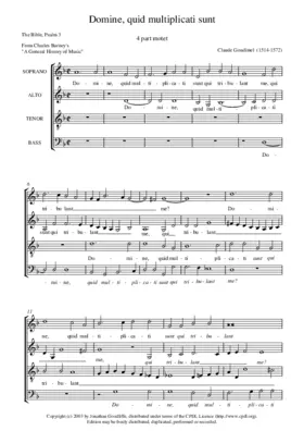 Domine, quid multiplicati sunt