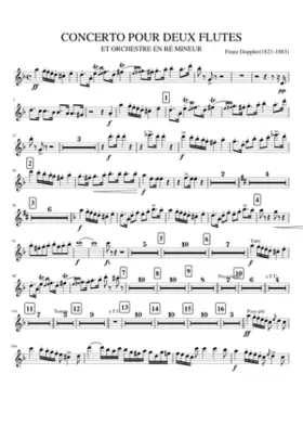 FL2. CONCERTO 2 FLUTES