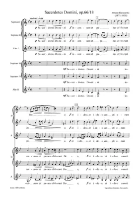 Sacerdotes Domini, op. 66/18