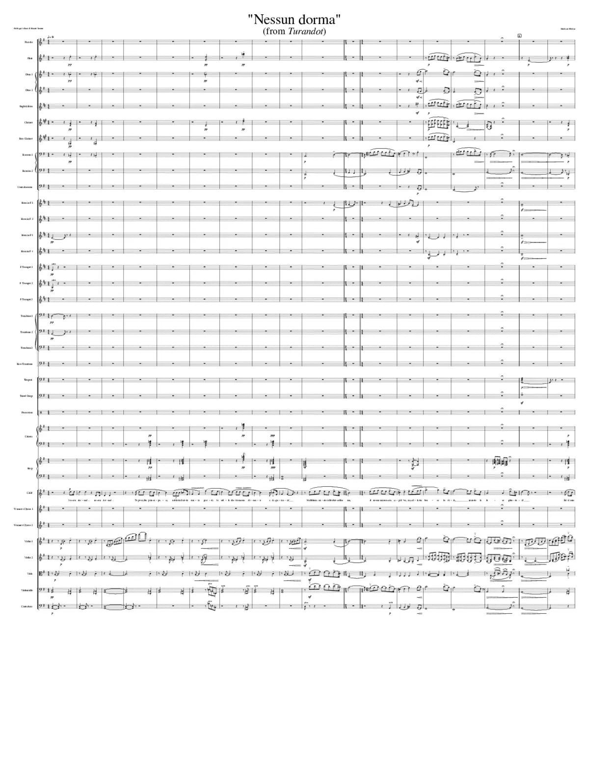 Turandot SC 91 - Page 1