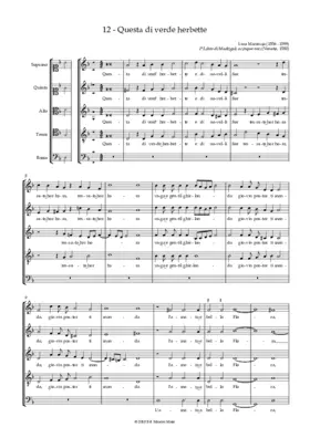 Questa di verde herbette