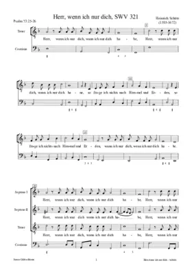 Herr, wenn ich nur dich, SWV 321