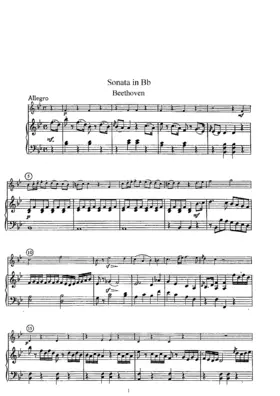 Flute Sonata in B-flat major