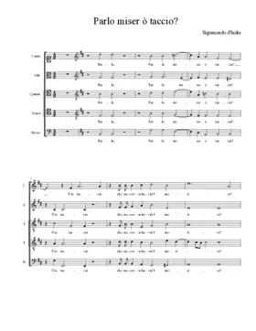 Parlo miser ò taccio?