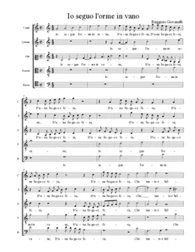 Io seguo l'orme in vano