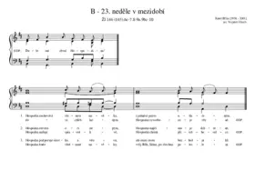 B - 23. neděle v mezidobí