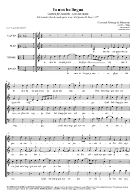 Io non ho lingua (Decima stanza)