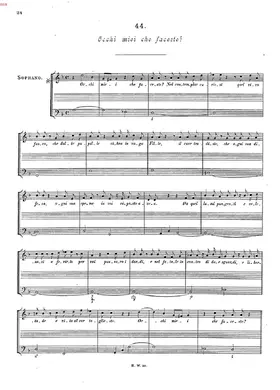 Occhi miei che faceste?