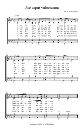 Ave, caput vulneratum