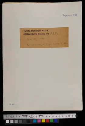 Oboe Concerto in C major