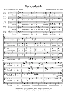 Sfogava con le stelle