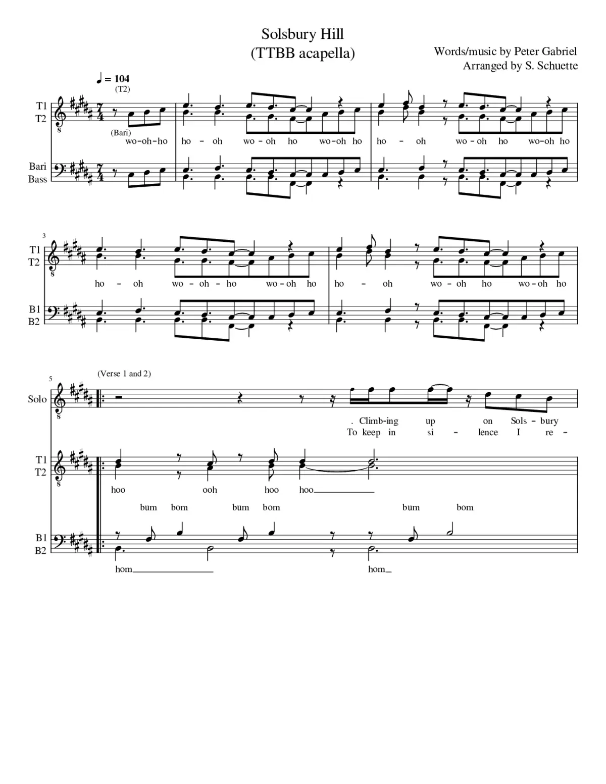 solsbury hill - Page 1