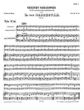 14 Variations for Piano, Violin and Cello