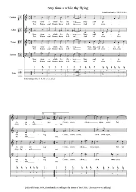 Stay time a while thy flying