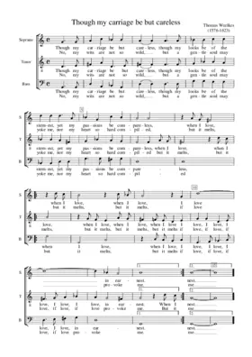 Though my carriage be but careless