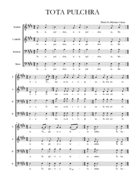 Tota pulchra III