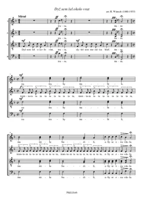 Dyž sem šel okolo vrat