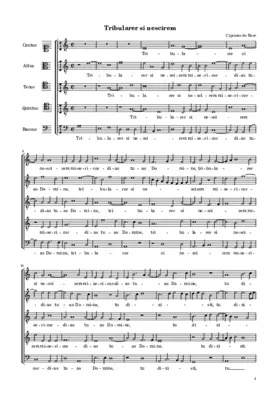 Tribularer si nescirem