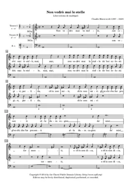 Non vedrò mai le stelle