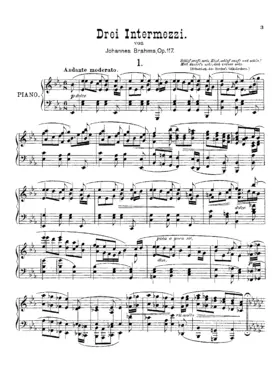 3 Intermezzi