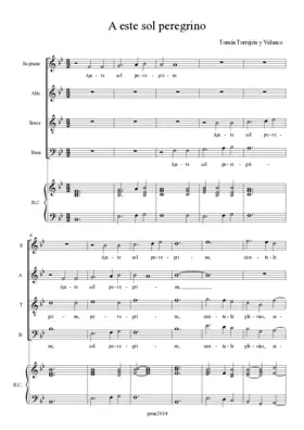 A este sol peregrino