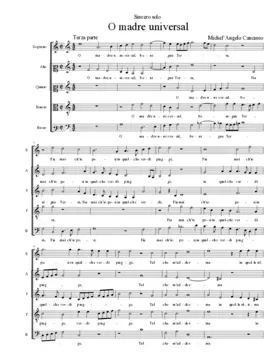 O madre universal